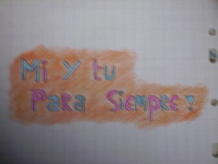 &- DeSsIn De CaM's -&